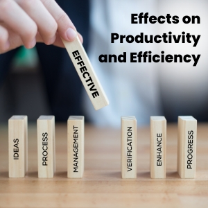 Effects on Productivity and Efficiency